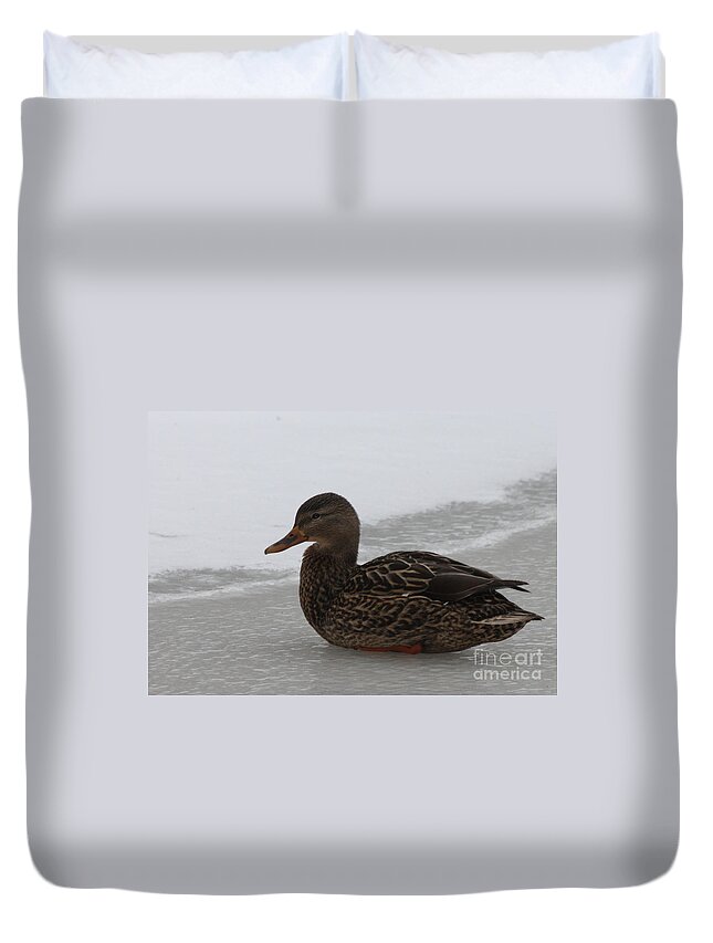 Duck On Ice Duvet Cover featuring the photograph Duck on Ice by John Telfer