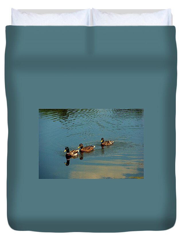 Ducks Duvet Cover featuring the photograph Ducks by Anthony Seeker