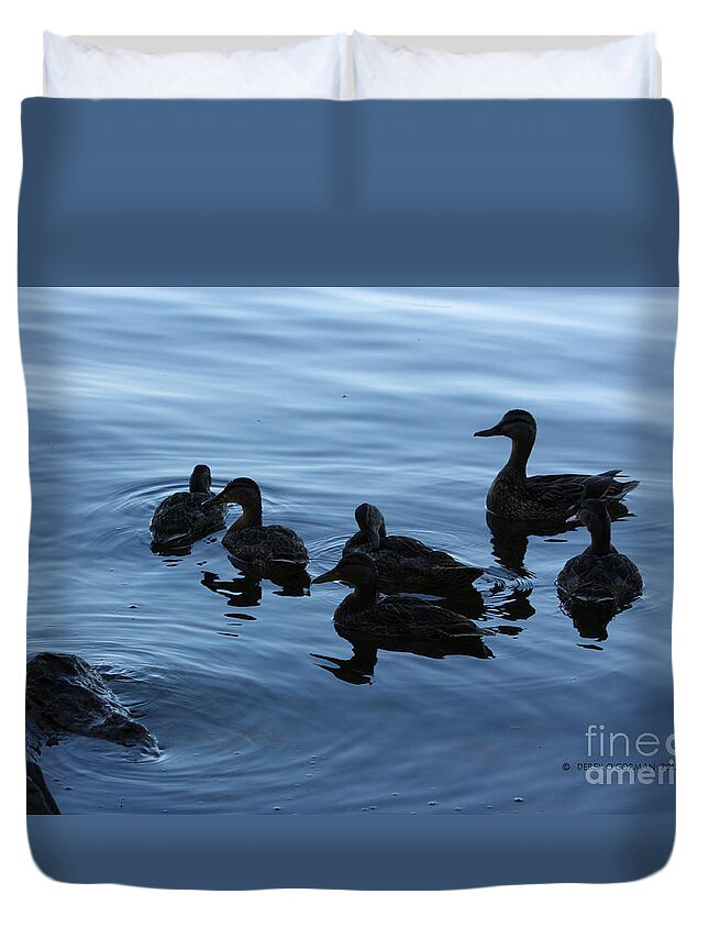 Ducks Duvet Cover featuring the photograph Ducks at Dusk by Derek O'Gorman