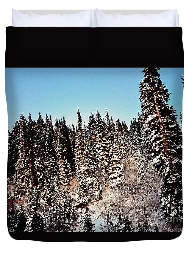 Alpine Duvet Cover featuring the photograph Dusting by Frank Larkin