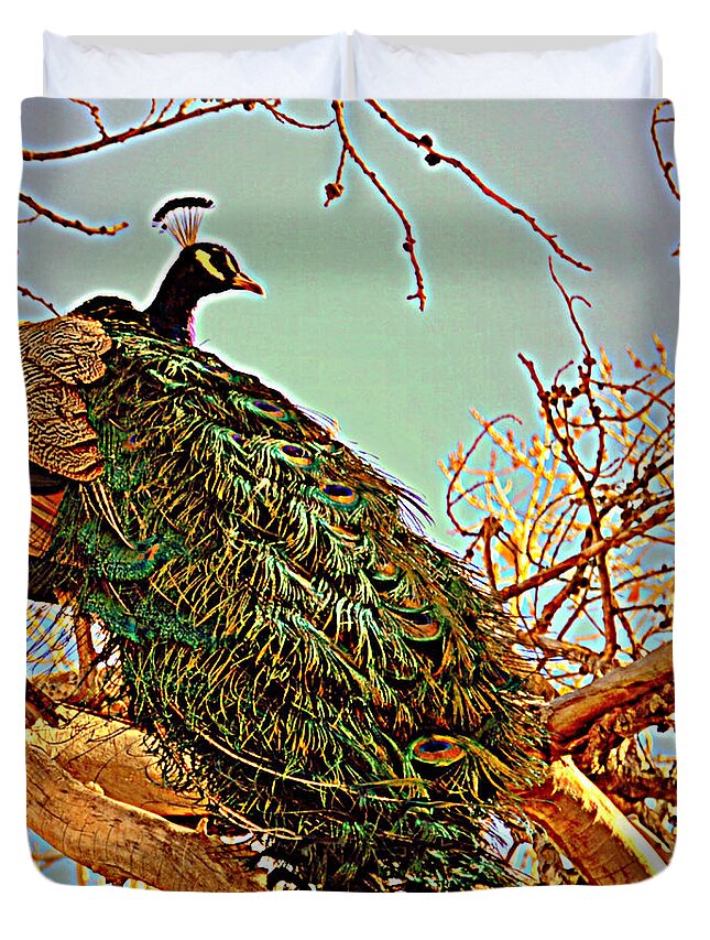 Peacock Duvet Cover featuring the photograph Duvet 3 by Diane montana Jansson