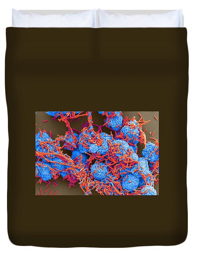 Science Duvet Cover featuring the photograph E Coli And Macrophages Sem by Science Source