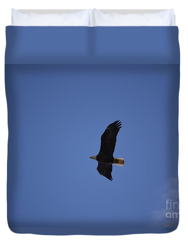 Bird Duvet Cover featuring the photograph Eagle 1 by Tamara Michael