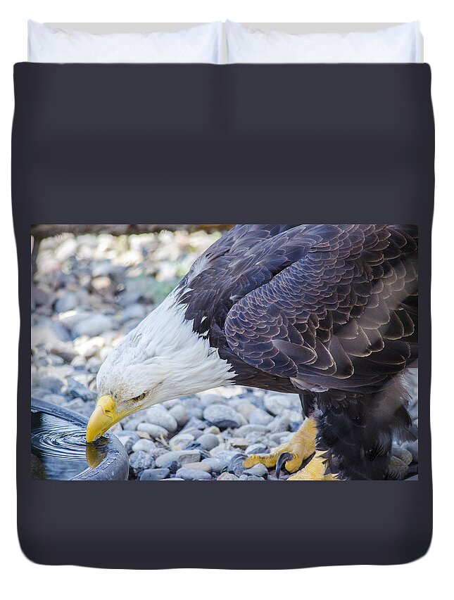 Eagle Duvet Cover featuring the photograph Eagle by Spencer Hughes