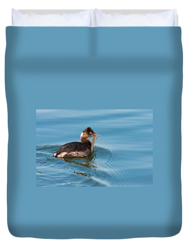 Eared Duvet Cover featuring the photograph Eared Grebe and Fish by Ram Vasudev