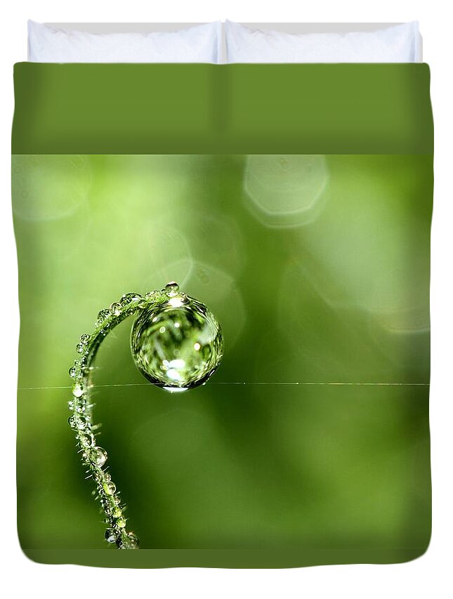 Grass Duvet Cover featuring the photograph Early Morning Dew by Sharon Johnstone