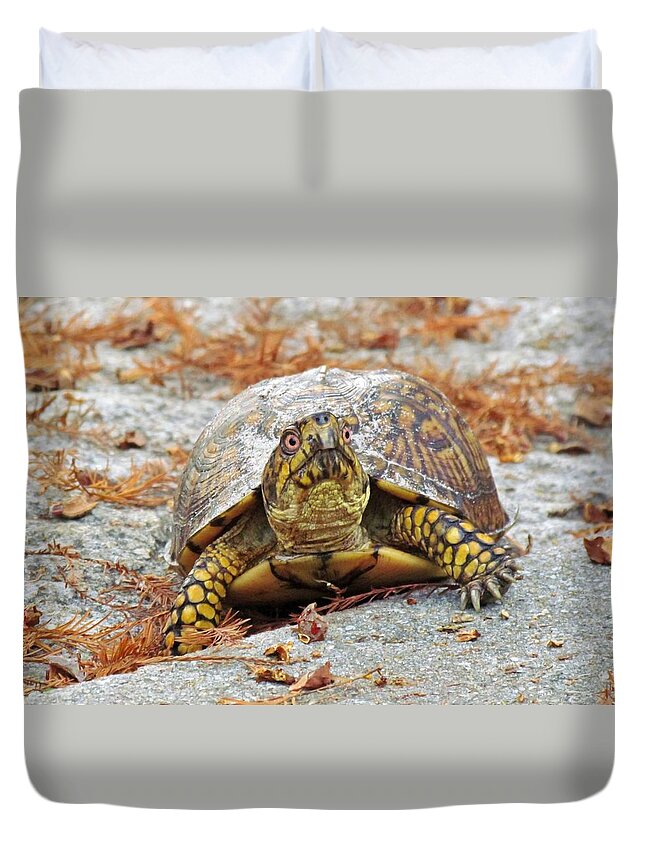 Box Turtle Duvet Cover featuring the photograph Eastern Box Turtle by Cynthia Guinn
