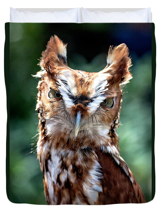 Color Duvet Cover featuring the photograph Eastern Screech-Owl by Bernd Laeschke