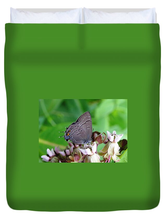 Nature Duvet Cover featuring the photograph Eastern Tailed Blue Butterfly by Peggy King
