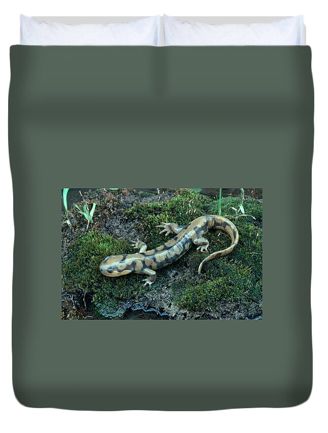 Adult Duvet Cover featuring the photograph Eastern Tiger Salamander by Phil A. Dotson