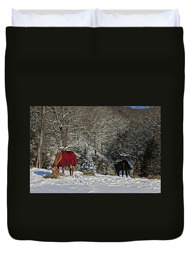 Horses Duvet Cover featuring the photograph Eating Hay in the Snow by Denise Romano
