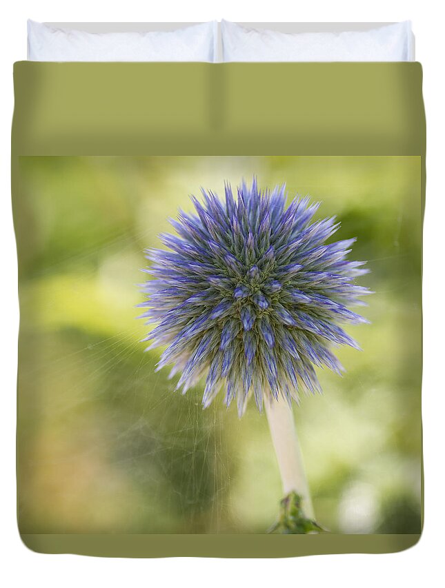Echinops Duvet Cover featuring the photograph Echinops Blue by Diane Fifield