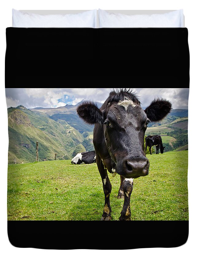 Cow Duvet Cover featuring the photograph Ecuadorian Cow by Bert Peake