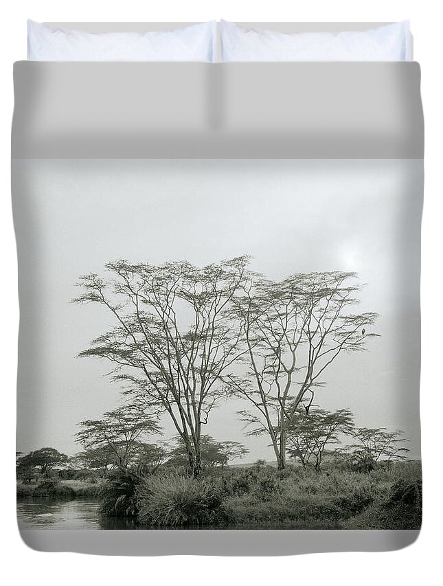 Africa Duvet Cover featuring the photograph Eden by Shaun Higson
