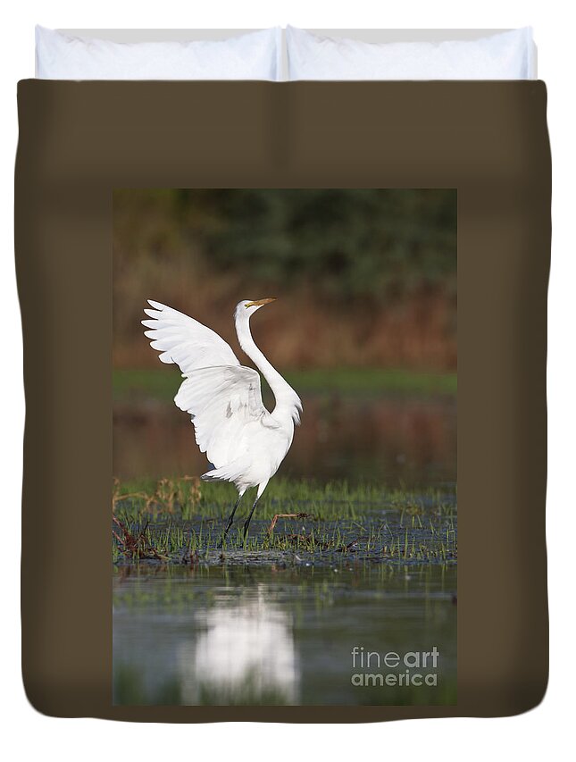 Egret Duvet Cover featuring the photograph Egret dancing by Bryan Keil