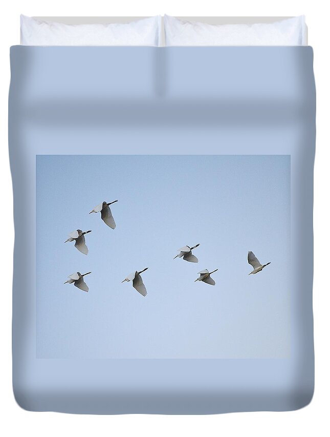 Egret Duvet Cover featuring the photograph Egrets in Formation by Kim Bemis