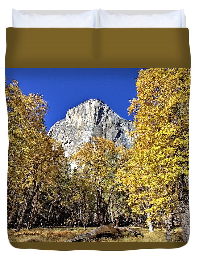 7229 Duvet Cover featuring the photograph El Capitan in November by Gordon Elwell