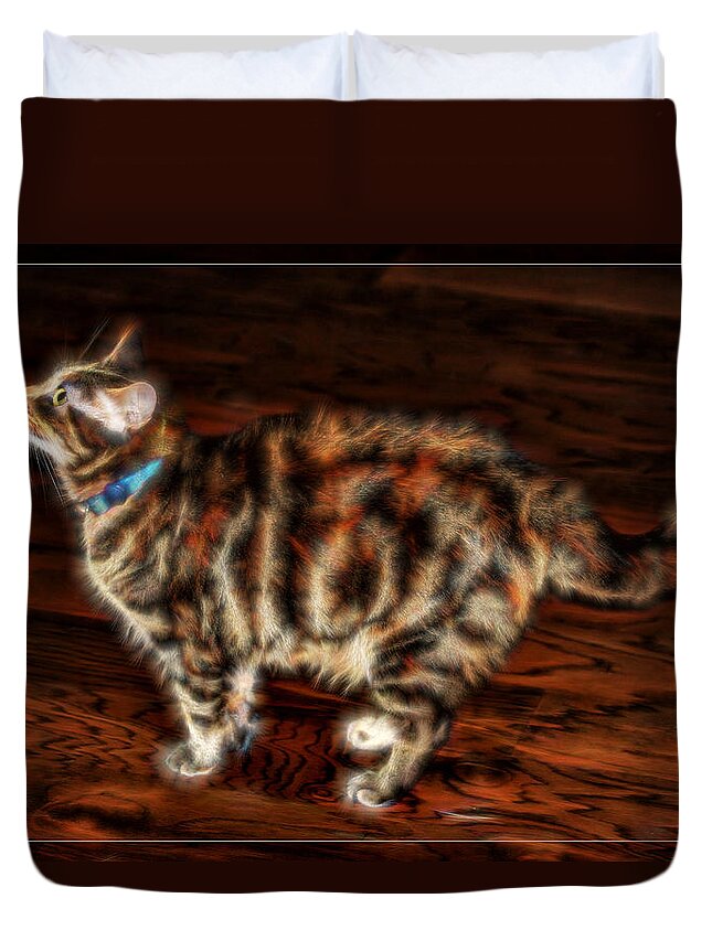 Electric Duvet Cover featuring the photograph Electric Kitty by Lucy VanSwearingen