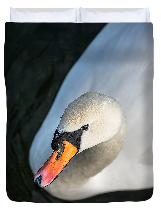 Swan Duvet Cover featuring the photograph Elegant Swan by Andreas Berthold