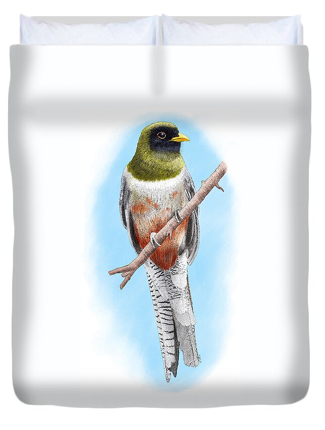 Fauna Duvet Cover featuring the photograph Elegant Trogon by Roger Hall
