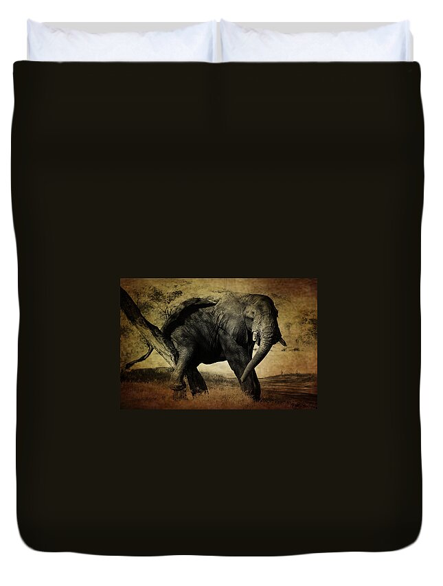 Elephant Duvet Cover featuring the photograph Elephant by Christine Sponchia