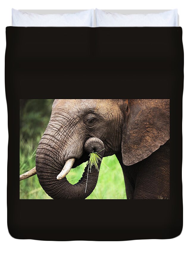 Green Duvet Cover featuring the photograph Elephant eating close-up by Johan Swanepoel