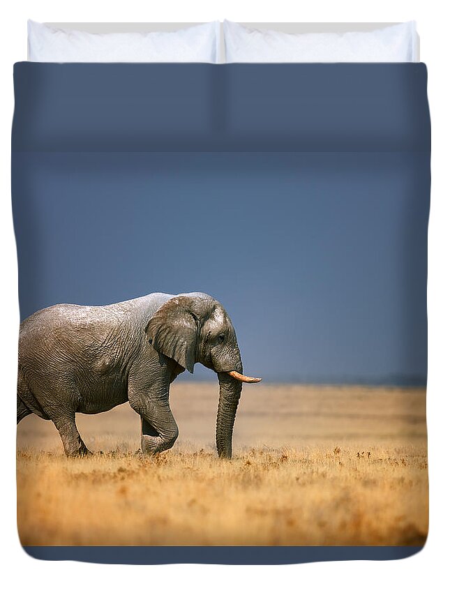 Walk Duvet Cover featuring the photograph Elephant in grassfield by Johan Swanepoel