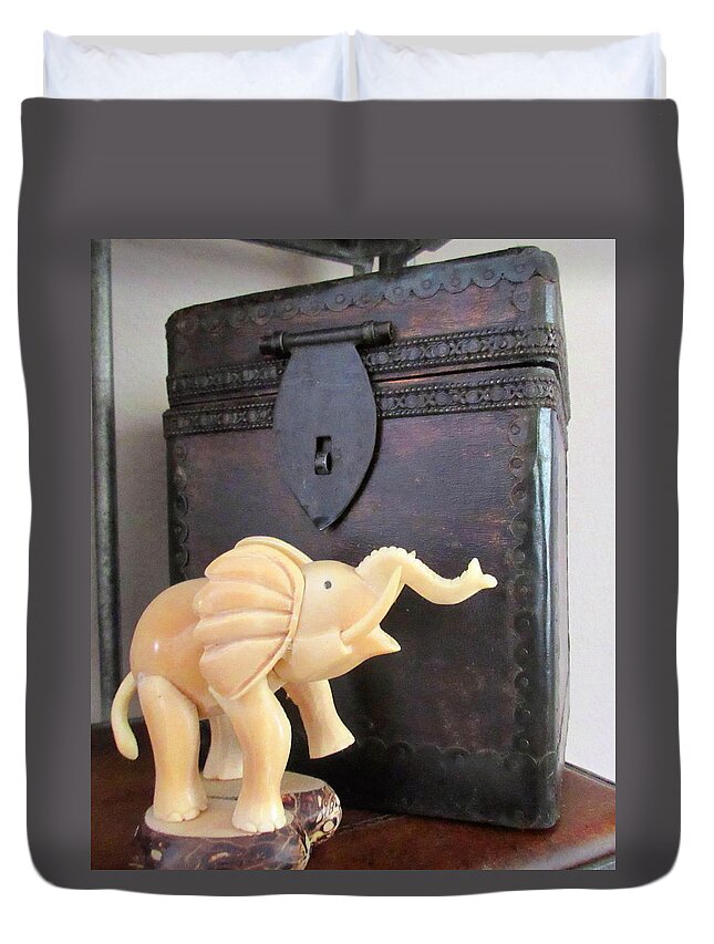 Elephant Duvet Cover featuring the photograph Elephant with Elephant Box by Ashley Goforth