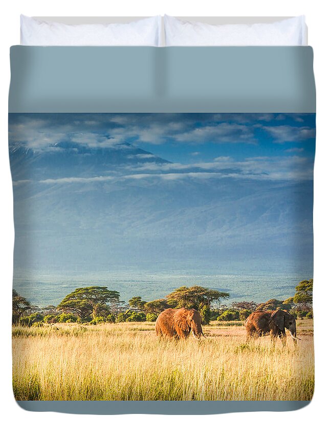 Scenics Duvet Cover featuring the photograph Elephants In Front Of Mount Kilimanjaro by 1001slide