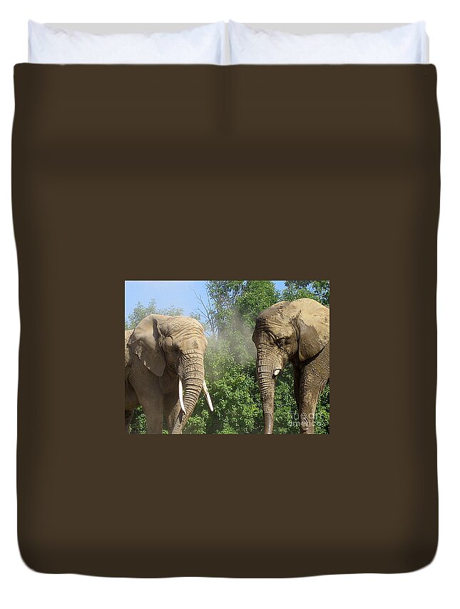 Elephants Duvet Cover featuring the photograph Elephants in the sand by Nina Silver