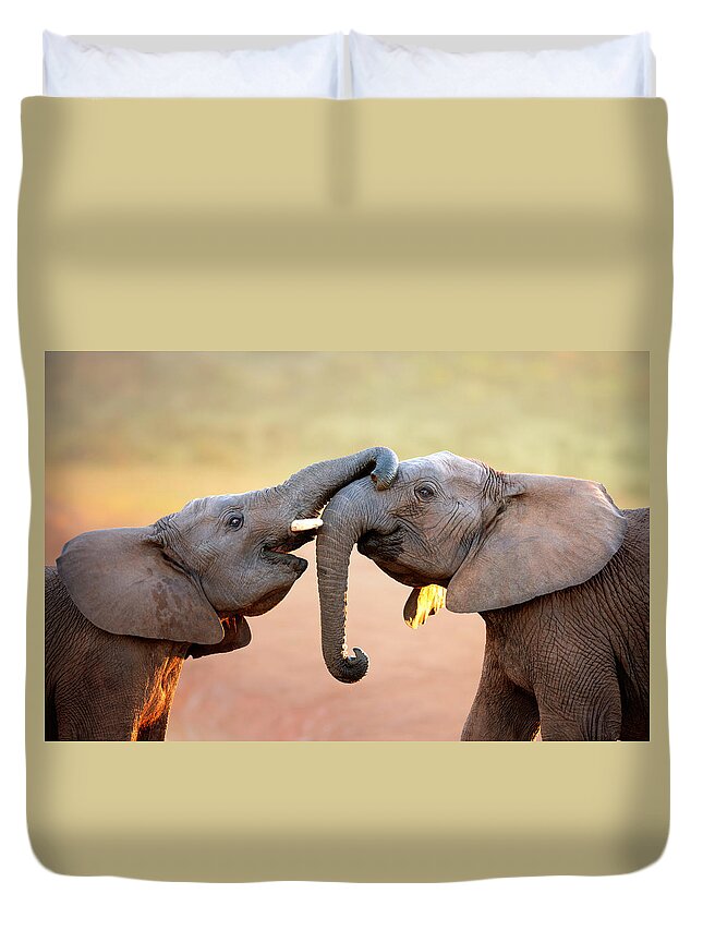Elephant Duvet Cover featuring the photograph Elephants touching each other by Johan Swanepoel