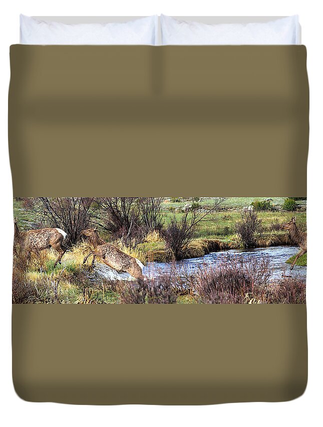 Elk Duvet Cover featuring the photograph Elk In Motion by Shane Bechler