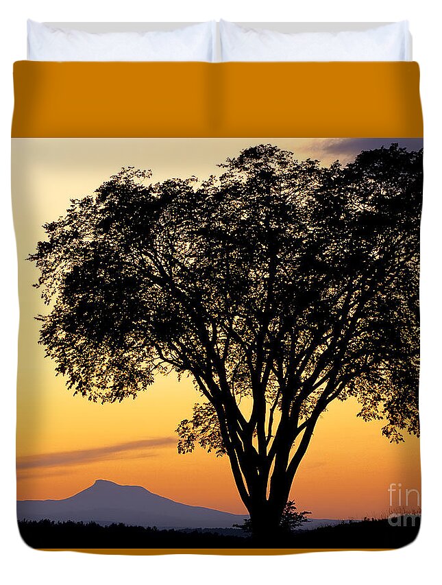 Twilight Duvet Cover featuring the photograph Elm At Twilight by Alan L Graham