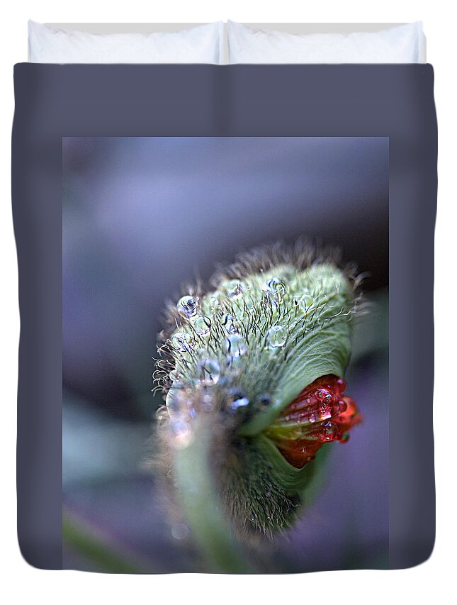 Iceland Poppy Duvet Cover featuring the photograph Emergence by Joe Schofield