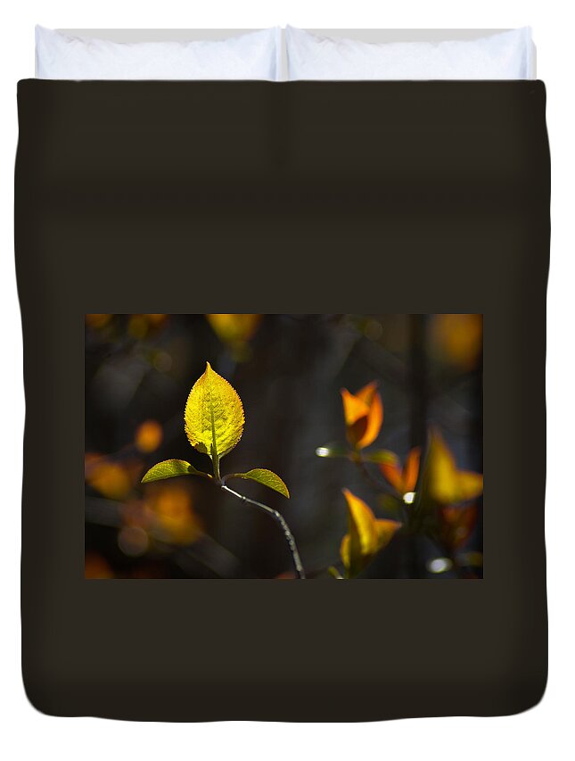 Leaf Duvet Cover featuring the photograph Emerging from the Darkness by Bill Pevlor