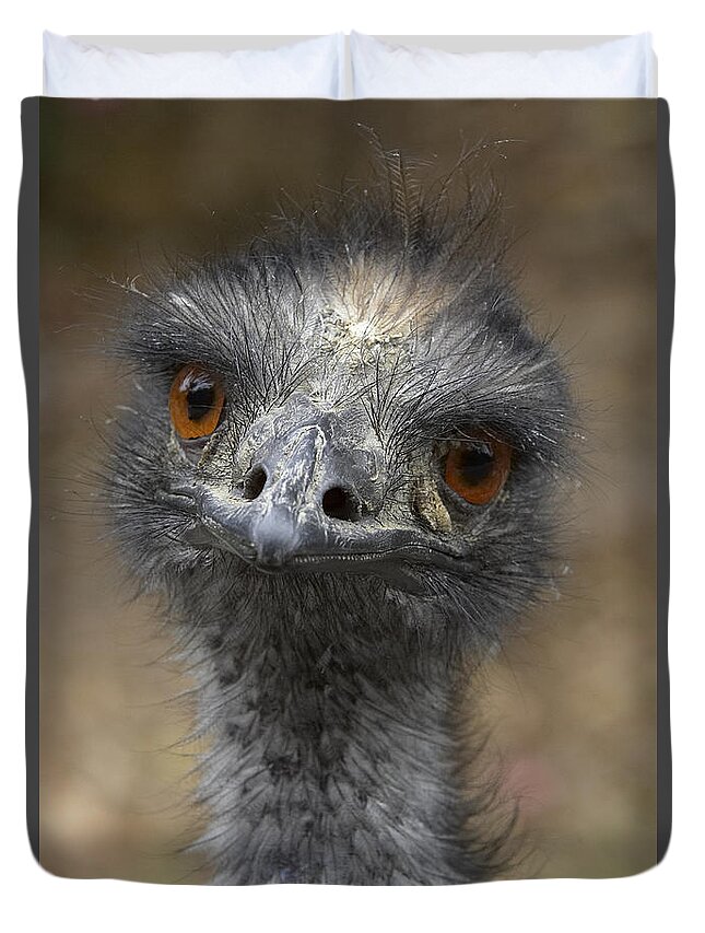 Feb0514 Duvet Cover featuring the photograph Emu Portrait by San Diego Zoo