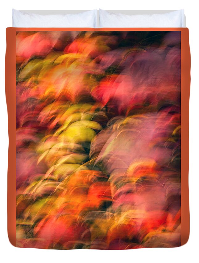 Leaves Duvet Cover featuring the photograph Enchantment No.4 by Daniel Csoka