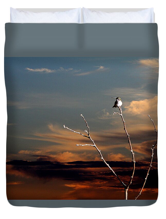 Hummingbirds Duvet Cover featuring the photograph End of the day by John Freidenberg
