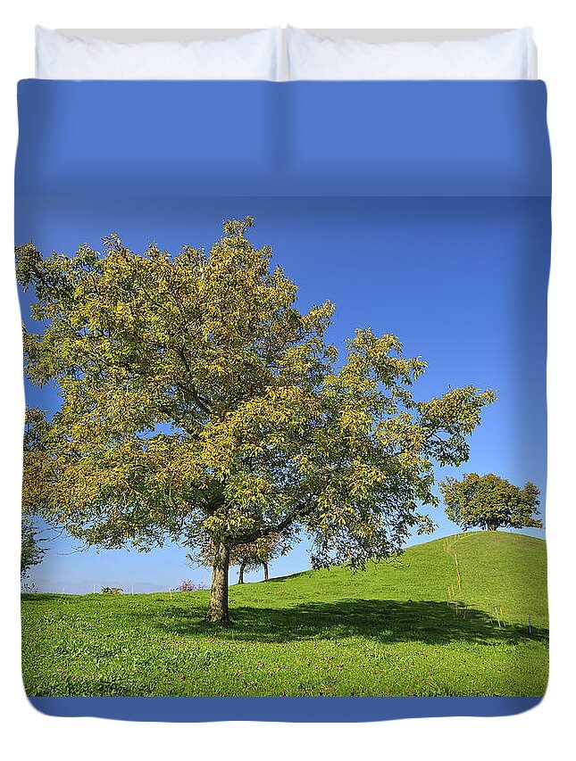 Feb0514 Duvet Cover featuring the photograph English Black Walnut Tree Switzerland by Thomas Marent