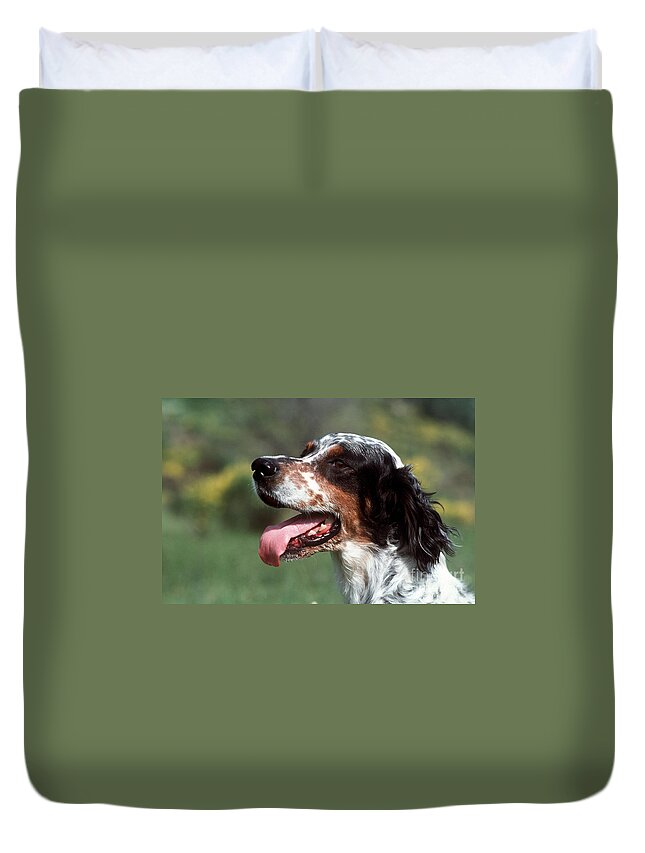 English Setter Duvet Cover featuring the photograph English Setter, Panting by Jean-Paul Ferrero