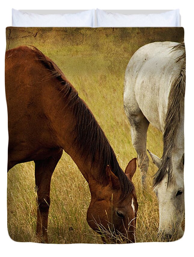 Horse Duvet Cover featuring the photograph Equine Friends by Theresa Tahara