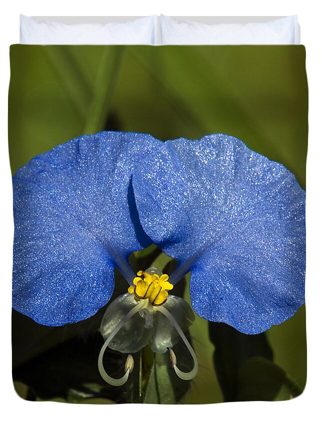Nature Duvet Cover featuring the photograph Erect Dayflower Commelina erecta DSMF096 by Gerry Gantt