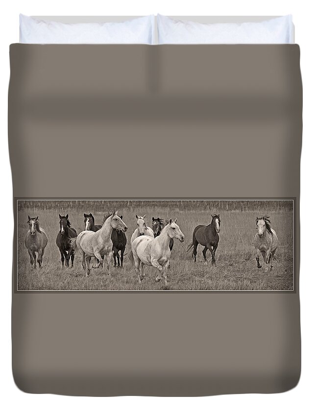 Escapees From A Lineup Duvet Cover featuring the photograph Escapees From A Lineup by Wes and Dotty Weber