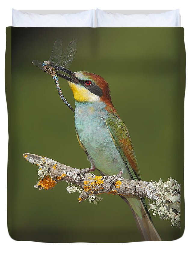 Bia Duvet Cover featuring the photograph European Bee-eater With Dragonfly Prey by Andres M. Dominguez