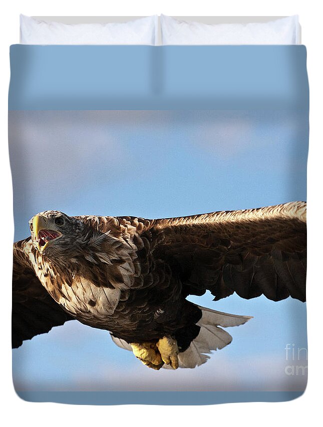 White_tailed Eagle Duvet Cover featuring the photograph European Flying Sea Eagle 1 by Heiko Koehrer-Wagner