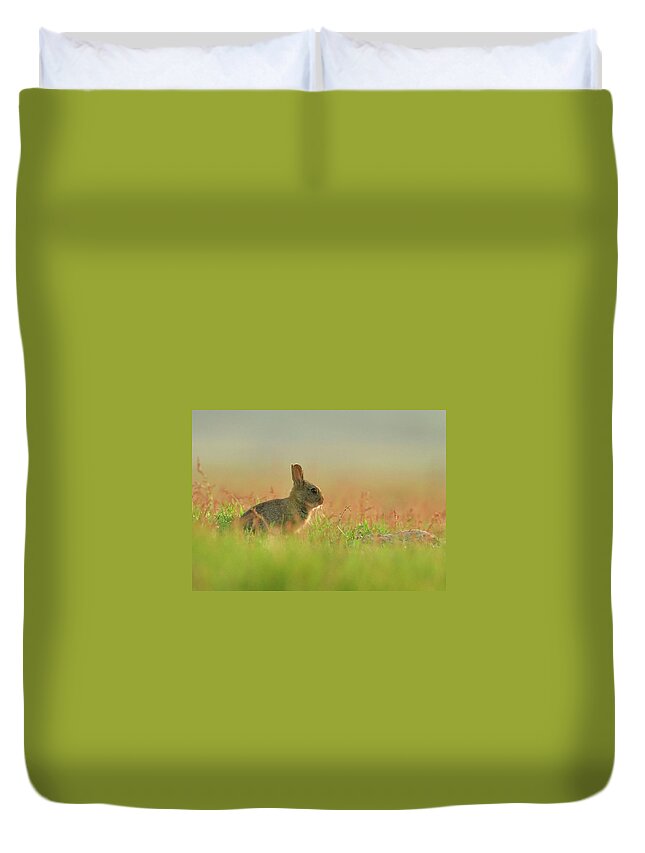 Grass Duvet Cover featuring the photograph European Rabbit Baby by Wouter Marck Wildlife Photography