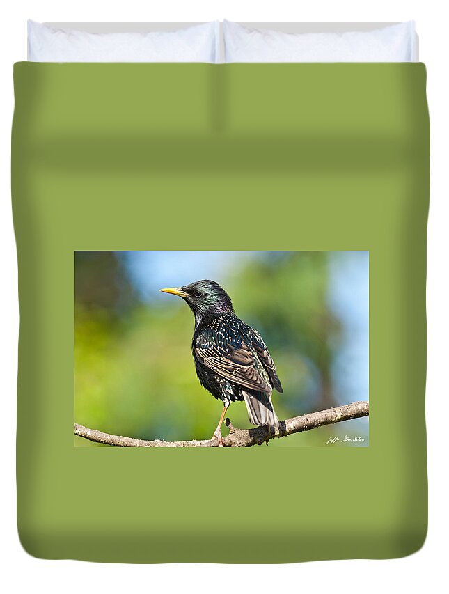 Animal Duvet Cover featuring the photograph European Starling in a Tree by Jeff Goulden
