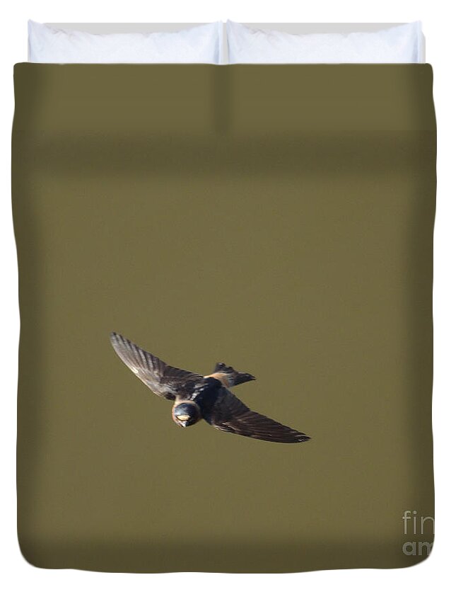 Birds Duvet Cover featuring the photograph Even More Swallows - 16 by Christopher Plummer