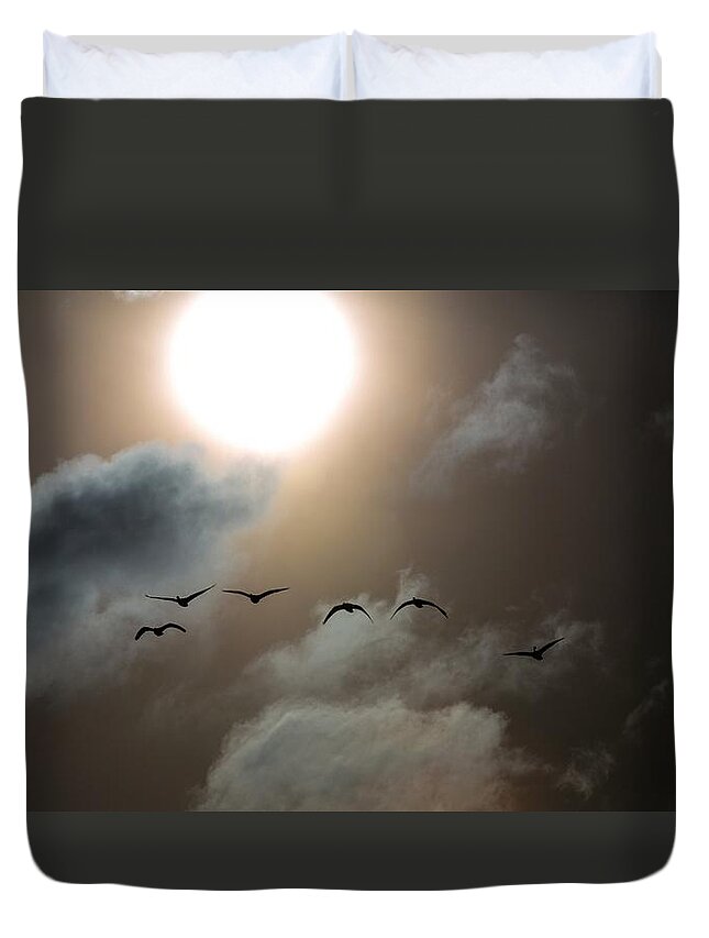 Sunset Duvet Cover featuring the photograph Evening Flight by Donald J Gray