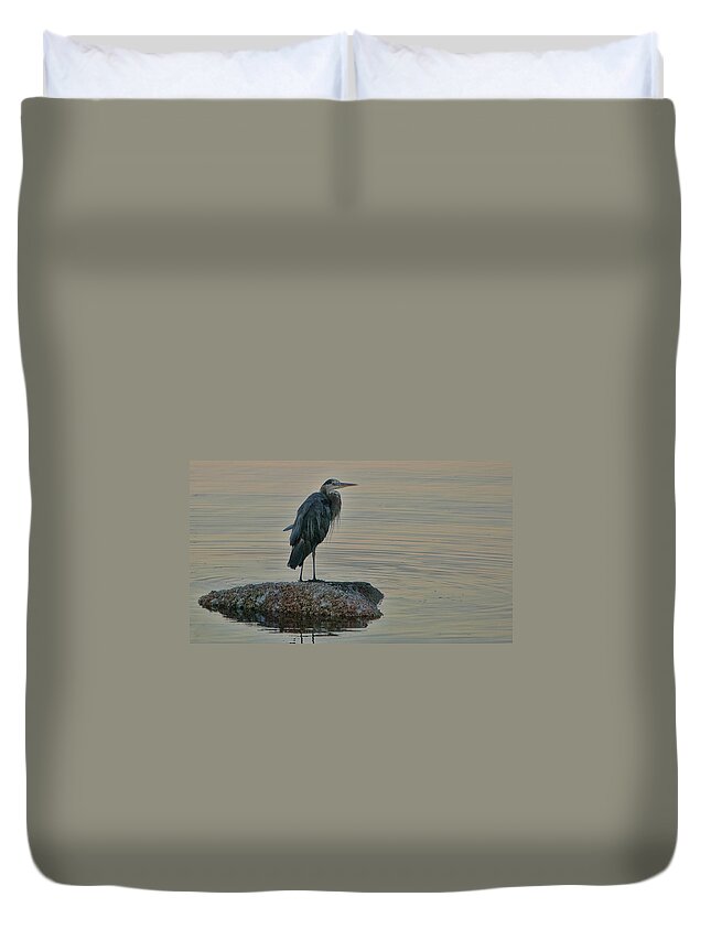 Herron Duvet Cover featuring the photograph Evening Hunt by Ron Roberts